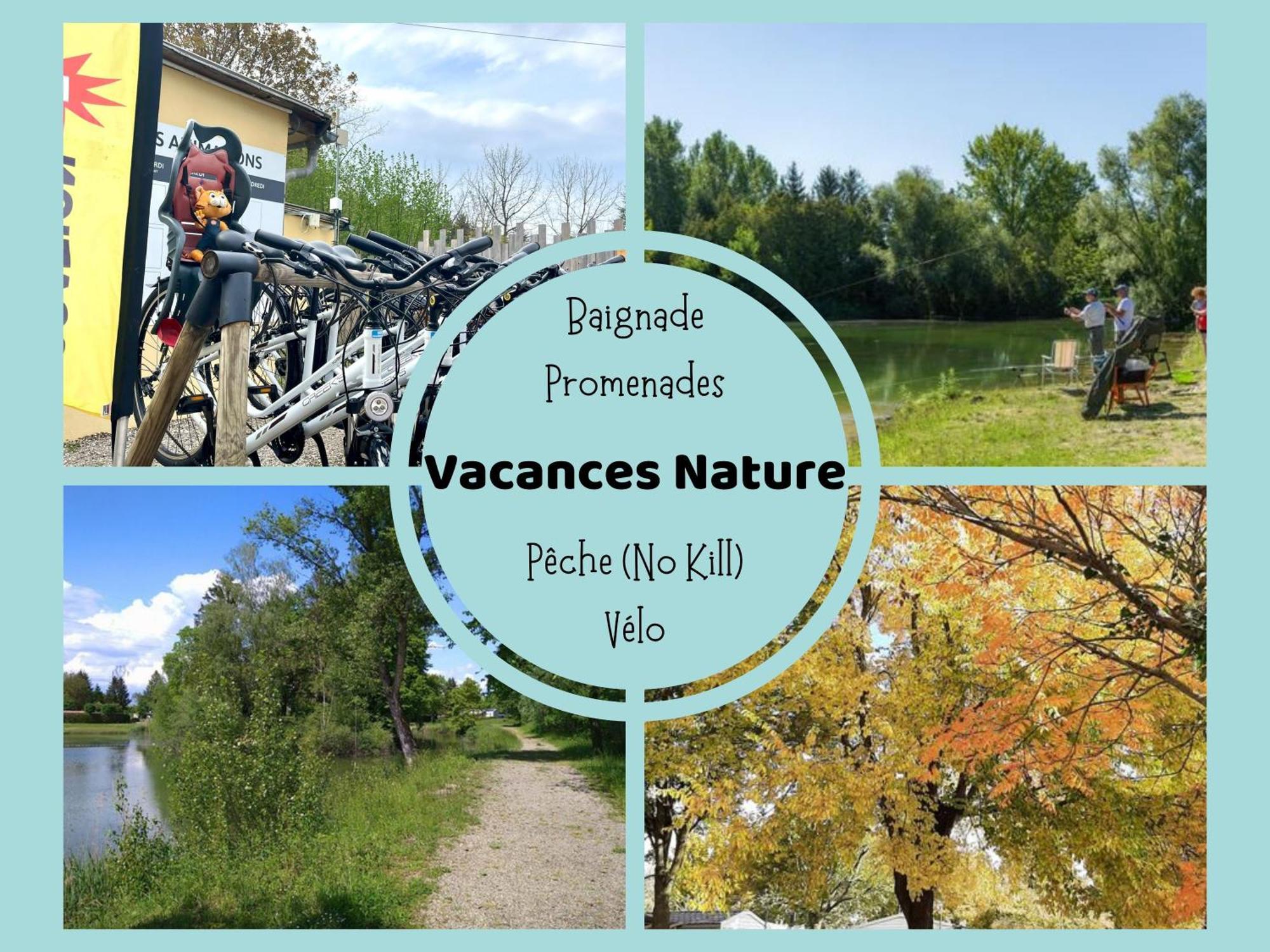 Les Pinots D'alsace - 3 Climatises Avec Tv - Proche Europa Park Boofzheim